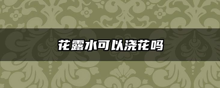 花露水可以浇花吗