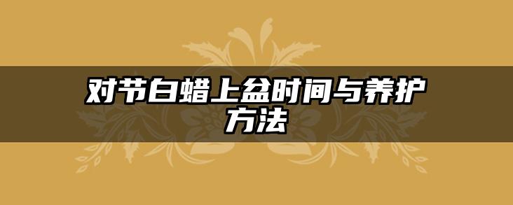 对节白蜡上盆时间与养护方法