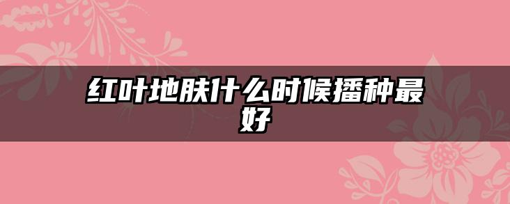 红叶地肤什么时候播种最好