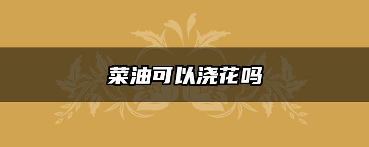 菜油可以浇花吗