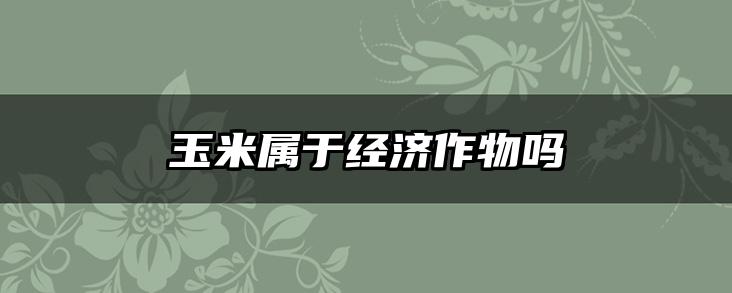 玉米属于经济作物吗