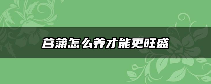 菖蒲怎么养才能更旺盛