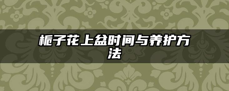 栀子花上盆时间与养护方法