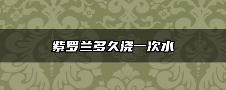紫罗兰多久浇一次水