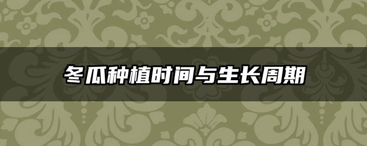 冬瓜种植时间与生长周期