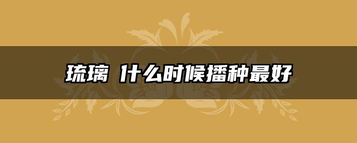 琉璃茞什么时候播种最好