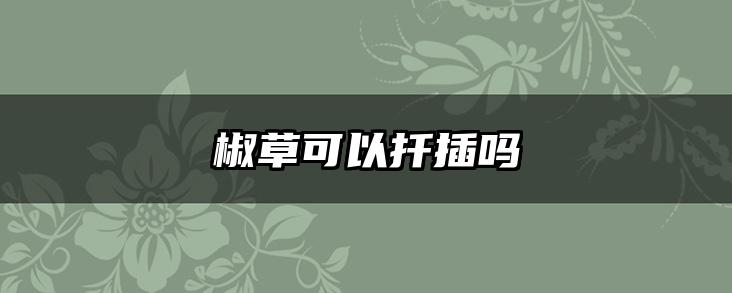 椒草可以扦插吗