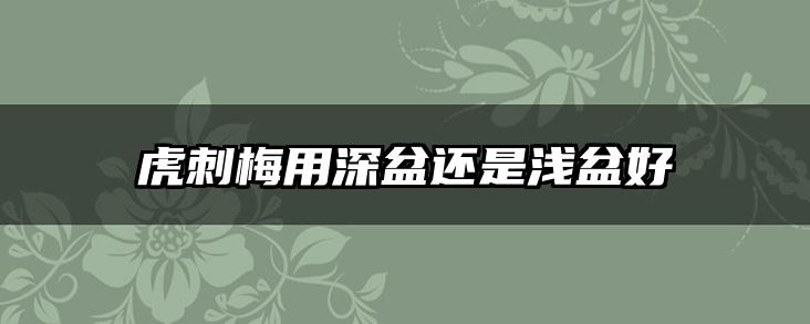 虎刺梅用深盆还是浅盆好