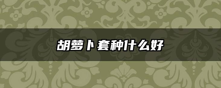 胡萝卜套种什么好