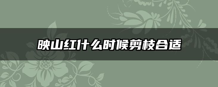 映山红什么时候剪枝合适