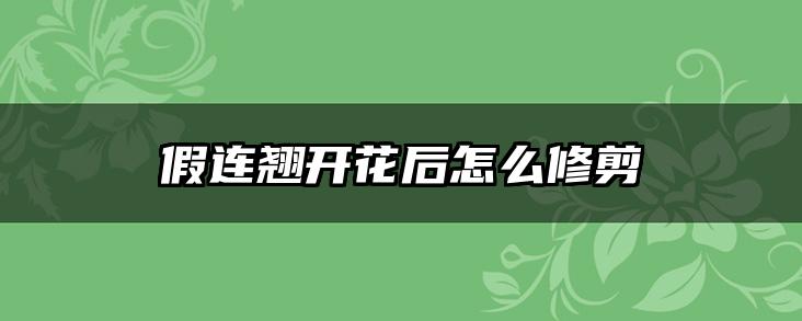 假连翘开花后怎么修剪
