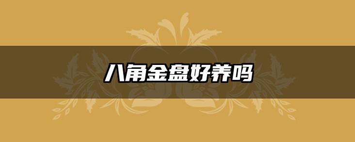 八角金盘好养吗