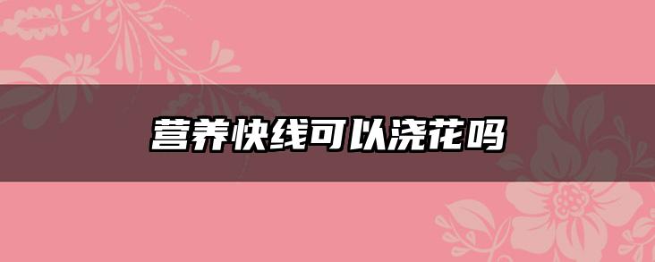 营养快线可以浇花吗