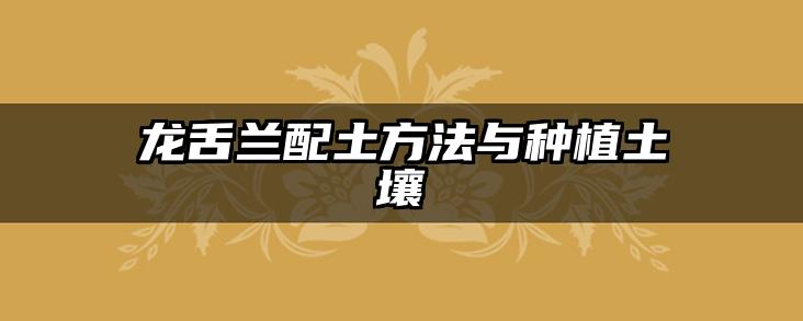 龙舌兰配土方法与种植土壤