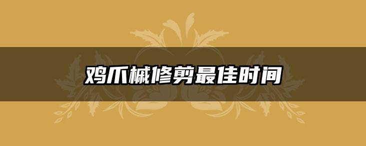 鸡爪槭修剪最佳时间