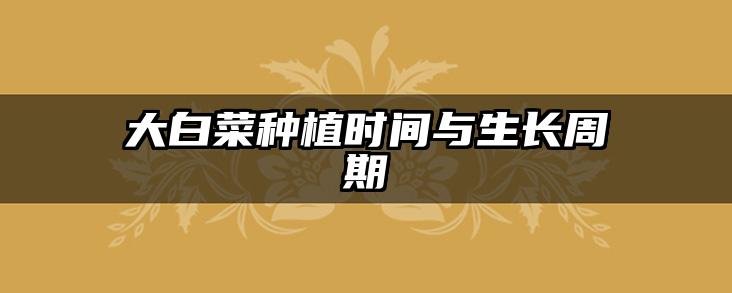 大白菜种植时间与生长周期