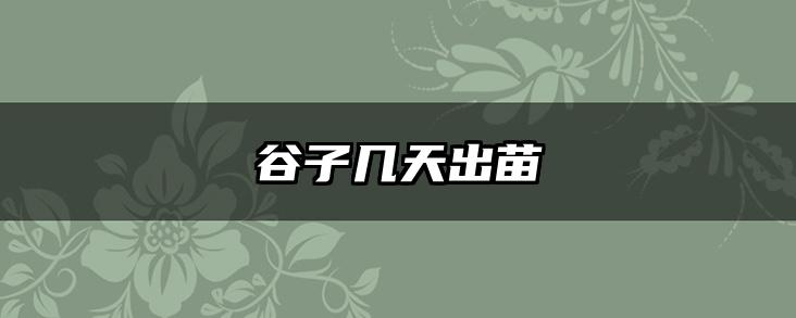 谷子几天出苗