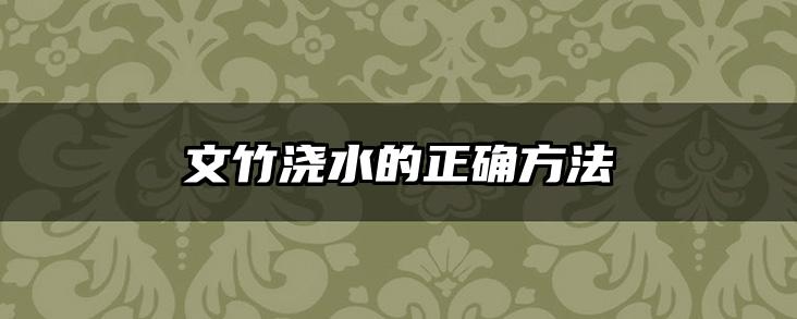 文竹浇水的正确方法