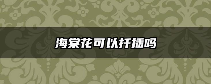 海棠花可以扦插吗