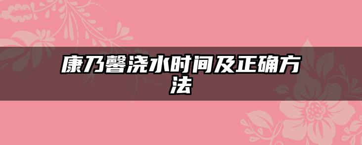 康乃馨浇水时间及正确方法