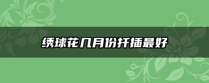 绣球花几月份扦插最好