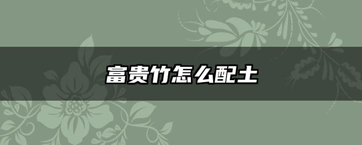 富贵竹怎么配土