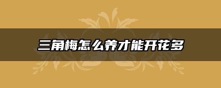 三角梅怎么养才能开花多