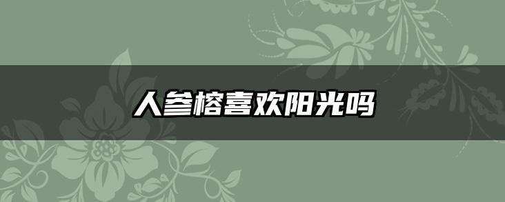 人参榕喜欢阳光吗