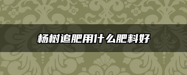 杨树追肥用什么肥料好