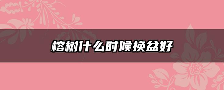 榕树什么时候换盆好