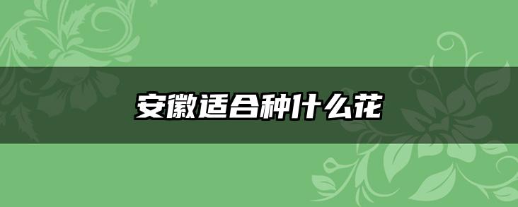 安徽适合种什么花