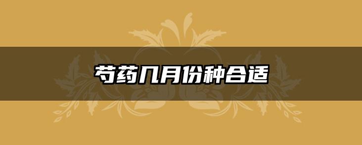 芍药几月份种合适