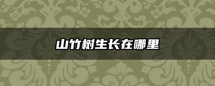 山竹树生长在哪里