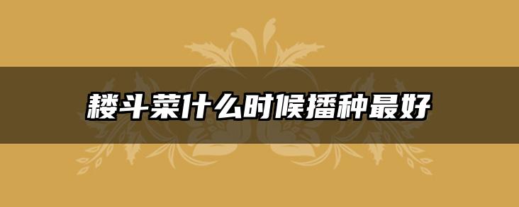 耧斗菜什么时候播种最好