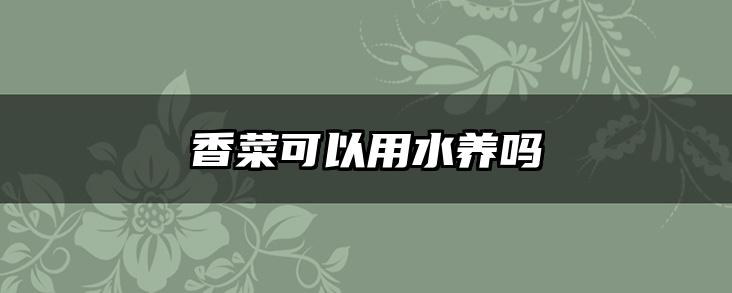 香菜可以用水养吗