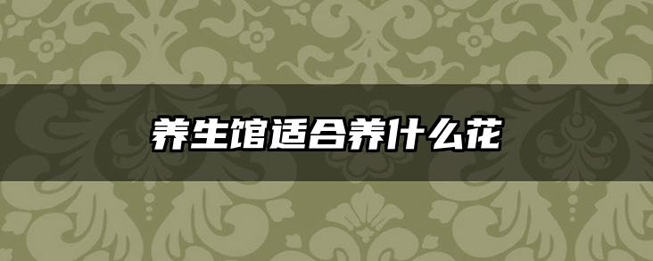 养生馆适合养什么花