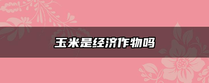 玉米是经济作物吗