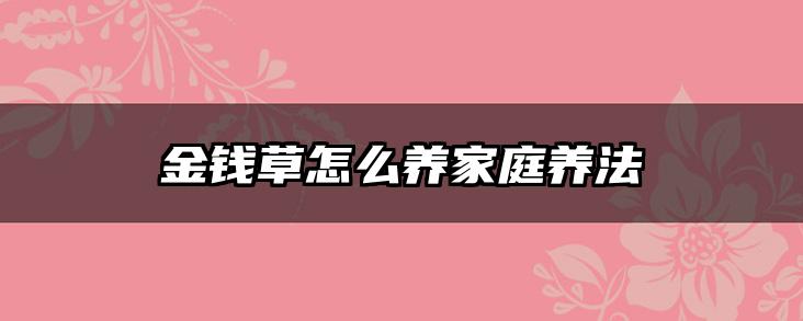 金钱草怎么养家庭养法