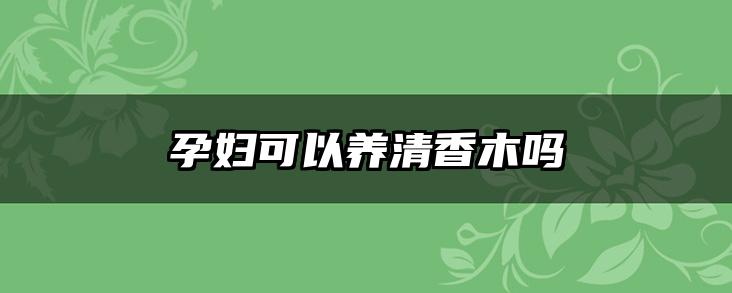 孕妇可以养清香木吗