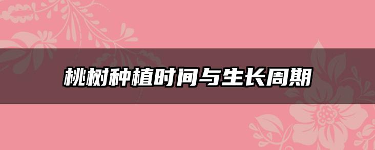 桃树种植时间与生长周期