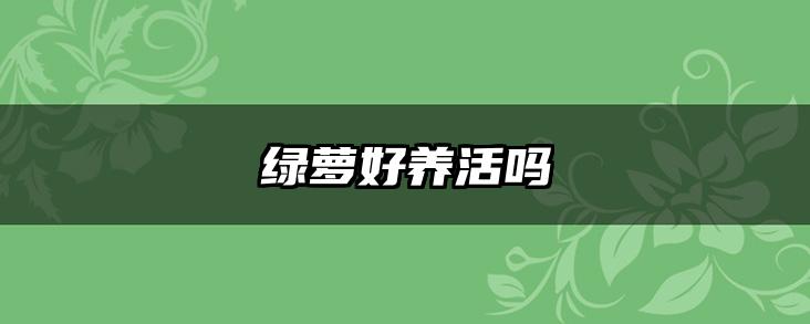 绿萝好养活吗