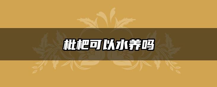 枇杷可以水养吗