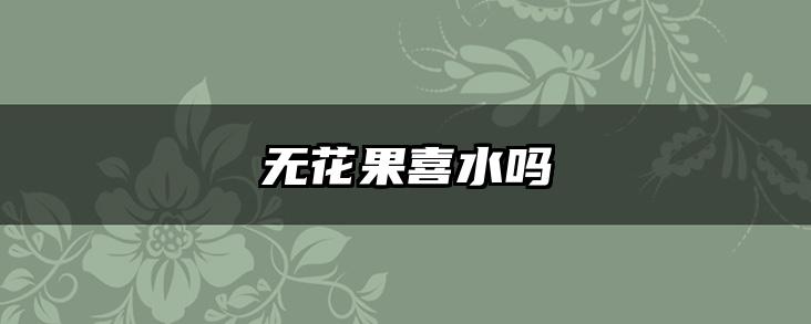 无花果喜水吗