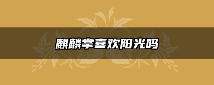 麒麟掌喜欢阳光吗