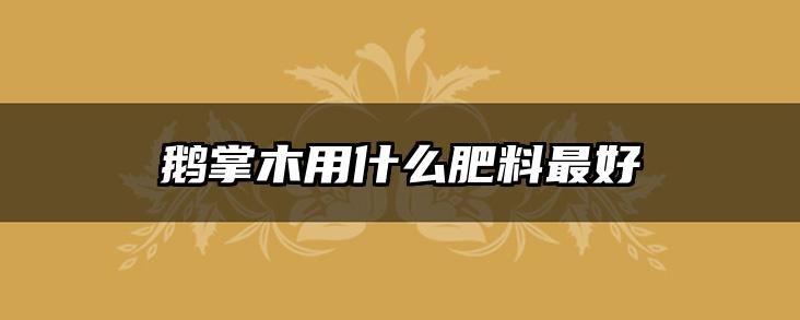 鹅掌木用什么肥料最好