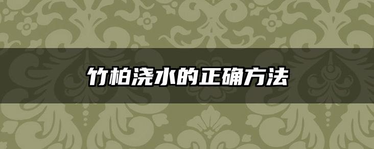 竹柏浇水的正确方法