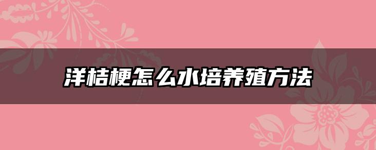 洋桔梗怎么水培养殖方法