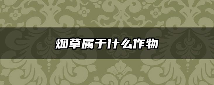 烟草属于什么作物