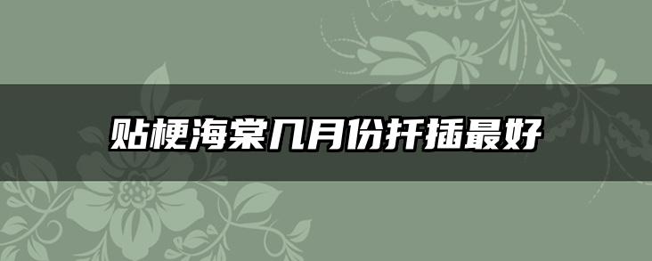 贴梗海棠几月份扦插最好