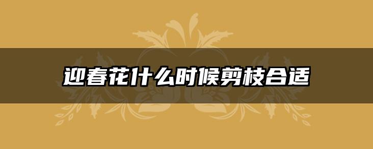 迎春花什么时候剪枝合适